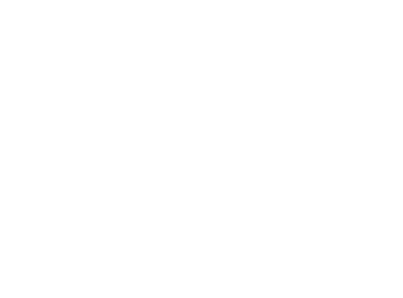 Pakish Urdu Logo